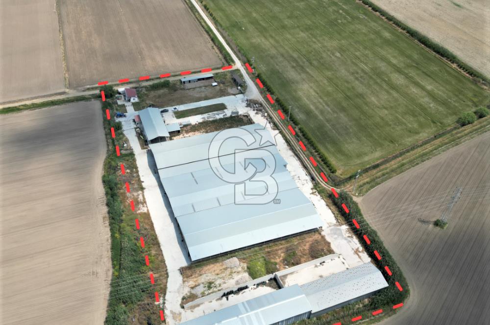 MENEMEN KESİK MAH.16.000 M2 ARSA İÇERİSİNDE SATILIK ÇİFTLİK...