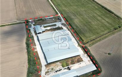 MENEMEN KESİK MAH.16.000 M2 ARSA İÇERİSİNDE SATILIK ÇİFTLİK...