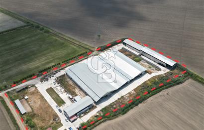 MENEMEN KESİK MAH.16.000 M2 ARSA İÇERİSİNDE SATILIK ÇİFTLİK...