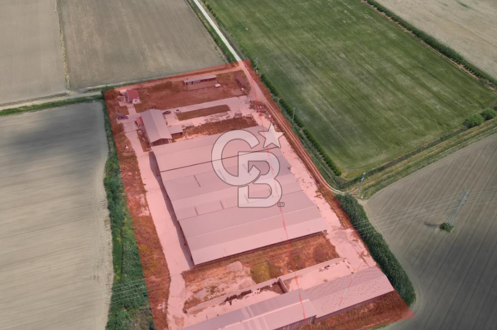 MENEMEN KESİK MAH.16.000 M2 ARSA İÇERİSİNDE SATILIK ÇİFTLİK...