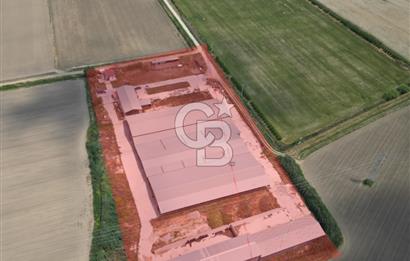 MENEMEN KESİK MAH.16.000 M2 ARSA İÇERİSİNDE SATILIK ÇİFTLİK...