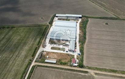 MENEMEN KESİK MAH.16.000 M2 ARSA İÇERİSİNDE SATILIK ÇİFTLİK...