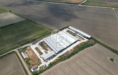 MENEMEN KESİK MAH.16.000 M2 ARSA İÇERİSİNDE SATILIK ÇİFTLİK...