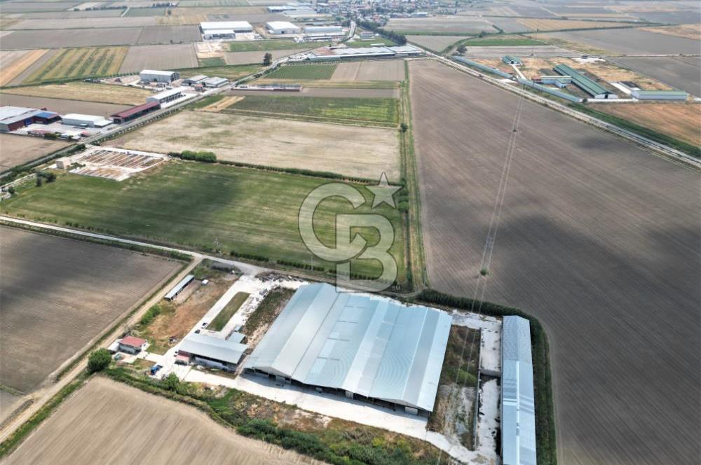 MENEMEN KESİK MAH.16.000 M2 ARSA İÇERİSİNDE SATILIK ÇİFTLİK...