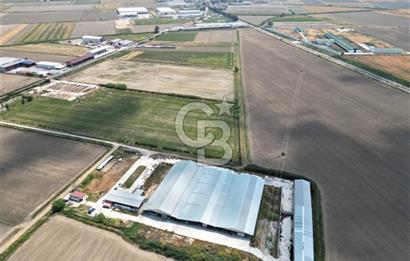 MENEMEN KESİK MAH.16.000 M2 ARSA İÇERİSİNDE SATILIK ÇİFTLİK...