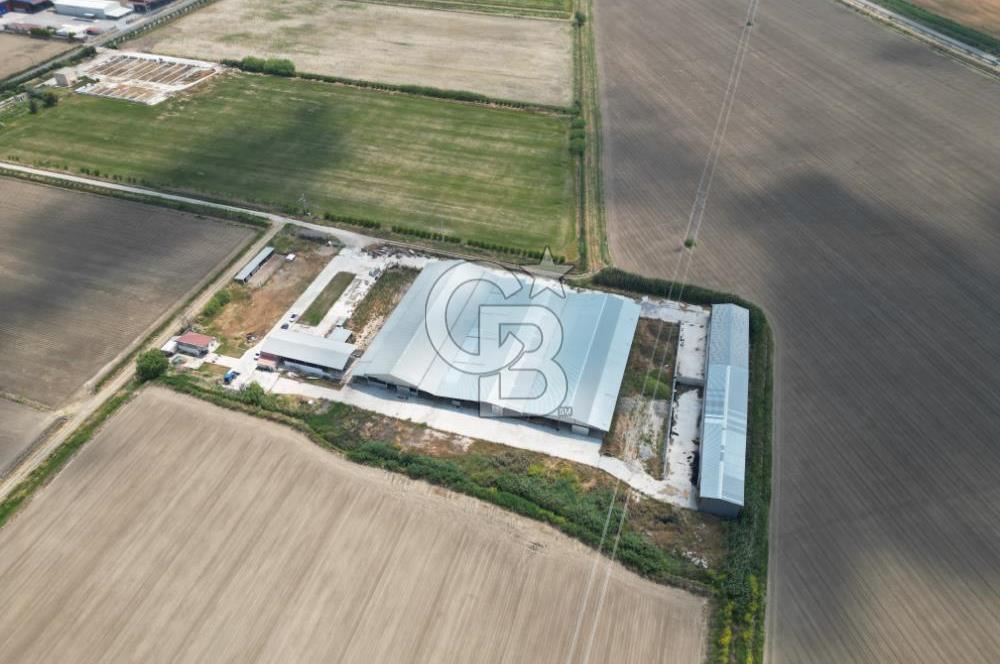 MENEMEN KESİK MAH.16.000 M2 ARSA İÇERİSİNDE SATILIK ÇİFTLİK...