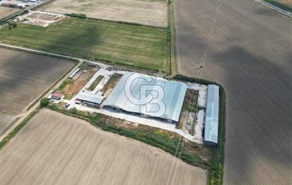 MENEMEN KESİK MAH.16.000 M2 ARSA İÇERİSİNDE SATILIK ÇİFTLİK...