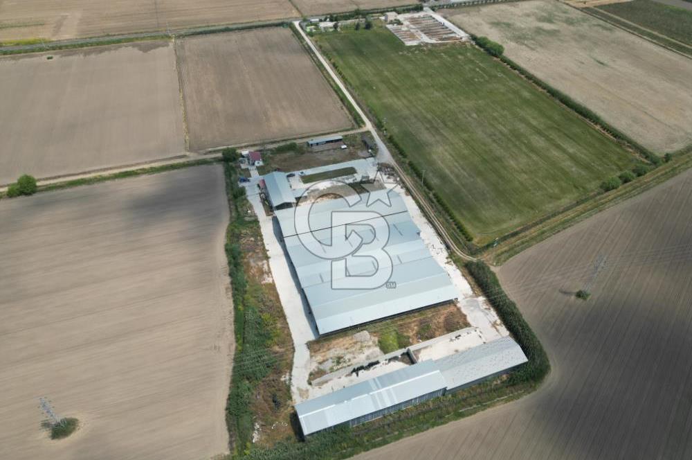 MENEMEN KESİK MAH.16.000 M2 ARSA İÇERİSİNDE SATILIK ÇİFTLİK...