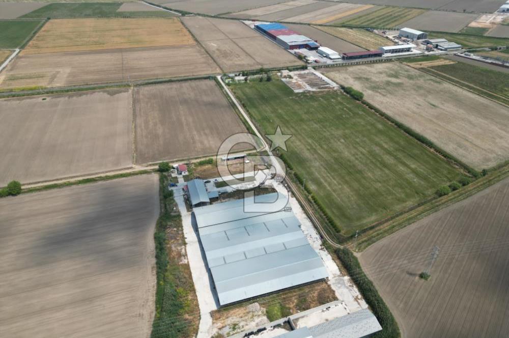 MENEMEN KESİK MAH.16.000 M2 ARSA İÇERİSİNDE SATILIK ÇİFTLİK...