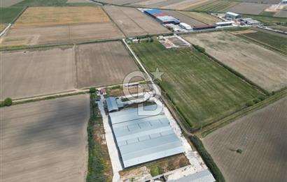 MENEMEN KESİK MAH.16.000 M2 ARSA İÇERİSİNDE SATILIK ÇİFTLİK...