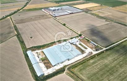 MENEMEN KESİK MAH.16.000 M2 ARSA İÇERİSİNDE SATILIK ÇİFTLİK...