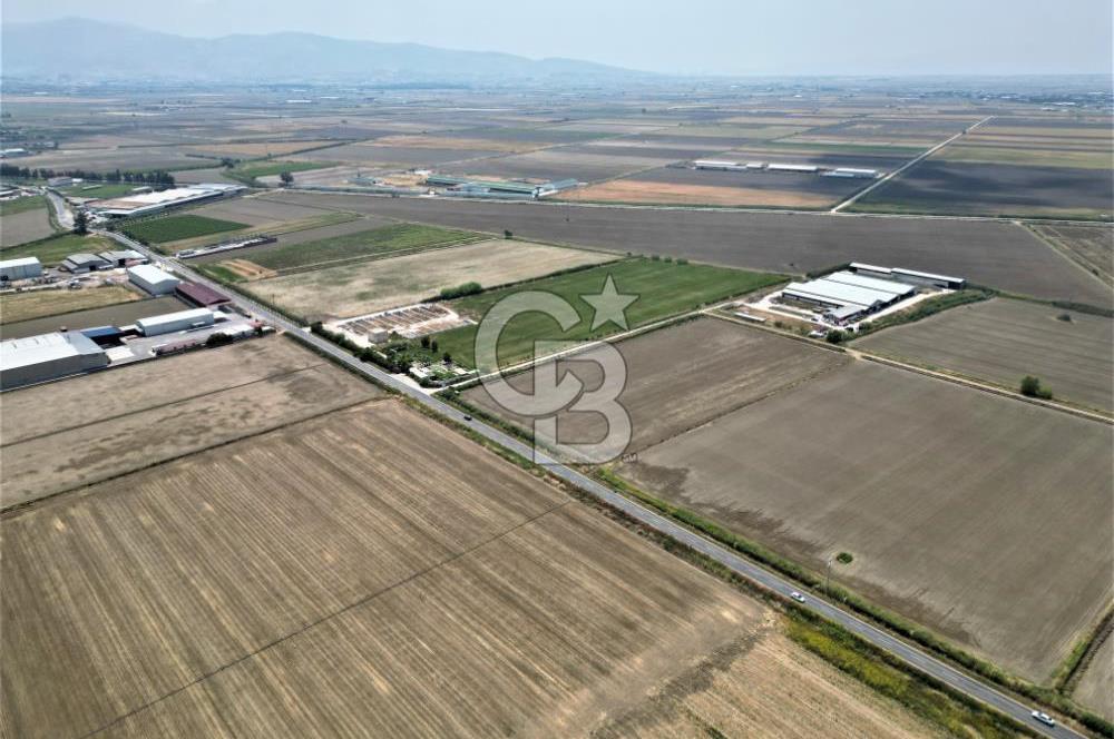 MENEMEN KESİK MAH.16.000 M2 ARSA İÇERİSİNDE SATILIK ÇİFTLİK...