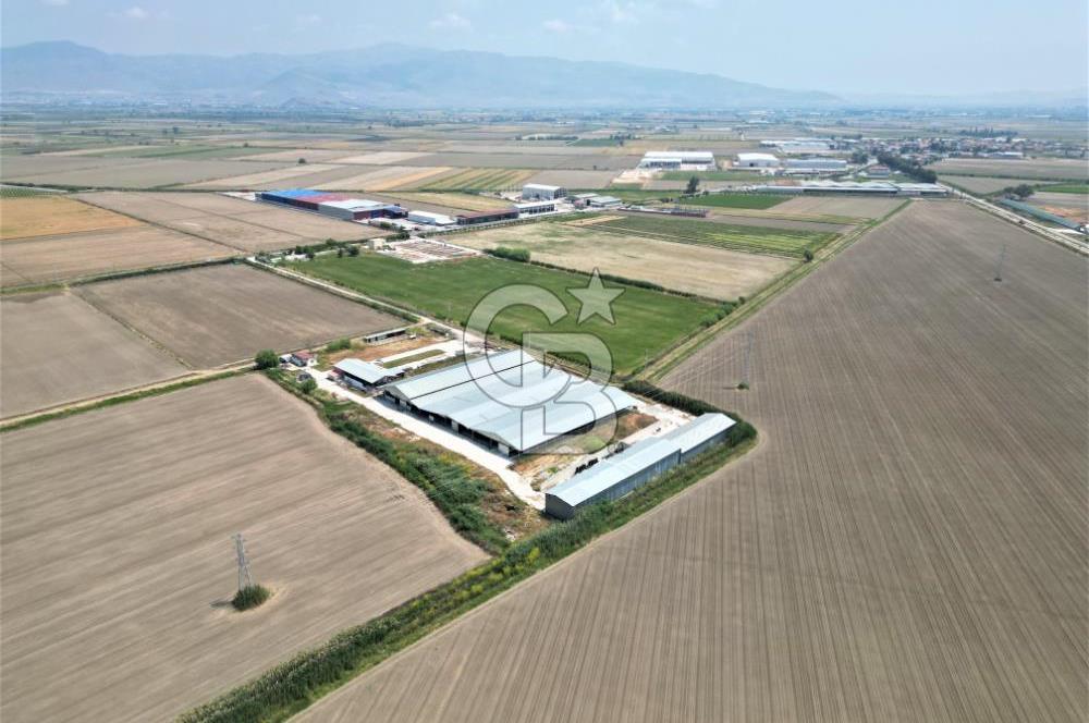 MENEMEN KESİK MAH.16.000 M2 ARSA İÇERİSİNDE SATILIK ÇİFTLİK...
