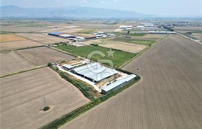 MENEMEN KESİK MAH.16.000 M2 ARSA İÇERİSİNDE SATILIK ÇİFTLİK...