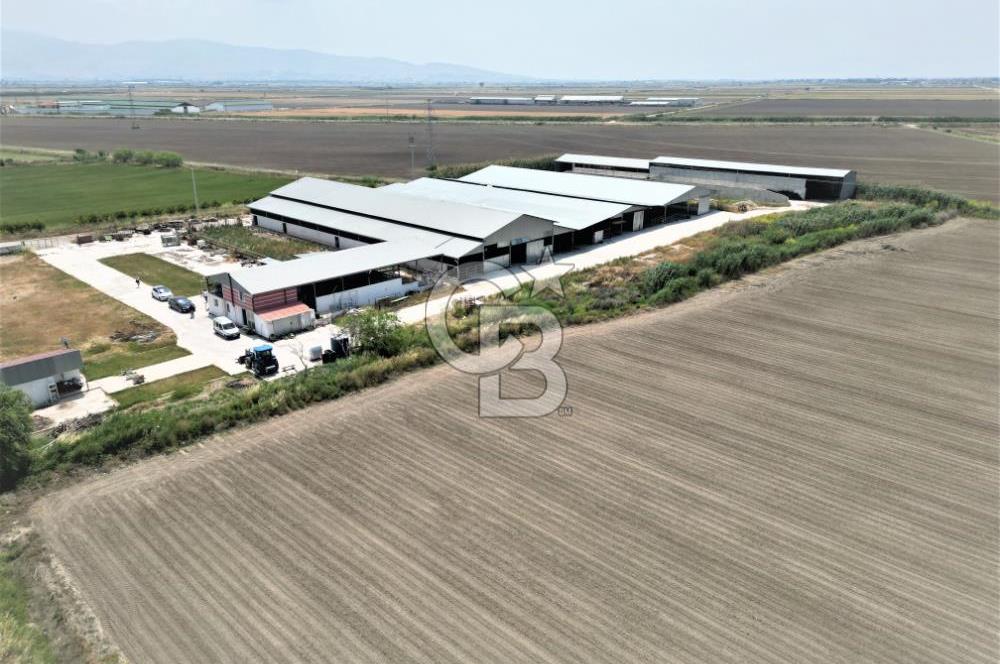 MENEMEN KESİK MAH.16.000 M2 ARSA İÇERİSİNDE SATILIK ÇİFTLİK...