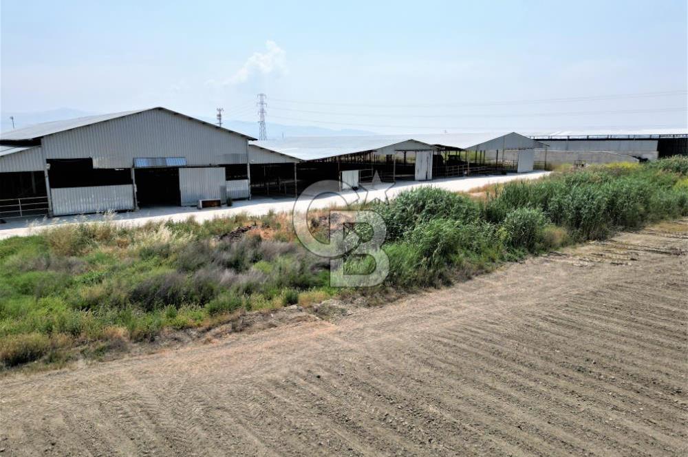 MENEMEN KESİK MAH.16.000 M2 ARSA İÇERİSİNDE SATILIK ÇİFTLİK...