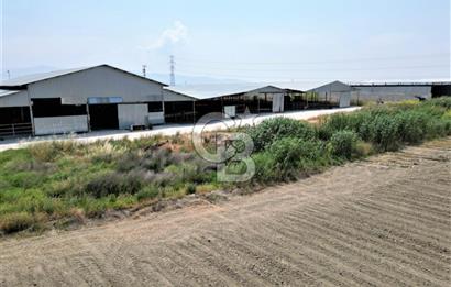MENEMEN KESİK MAH.16.000 M2 ARSA İÇERİSİNDE SATILIK ÇİFTLİK...