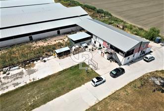 MENEMEN KESİK MAH.16.000 M2 ARSA İÇERİSİNDE SATILIK ÇİFTLİK... - 1 - 365719