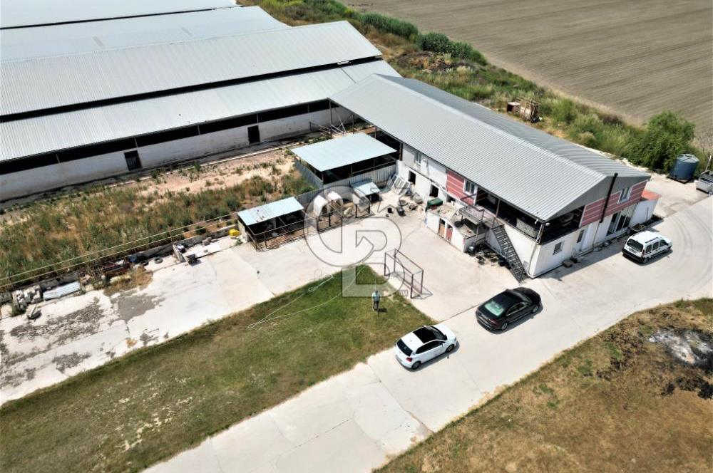MENEMEN KESİK MAH.16.000 M2 ARSA İÇERİSİNDE SATILIK ÇİFTLİK...