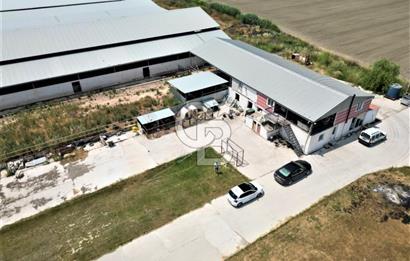MENEMEN KESİK MAH.16.000 M2 ARSA İÇERİSİNDE SATILIK ÇİFTLİK...