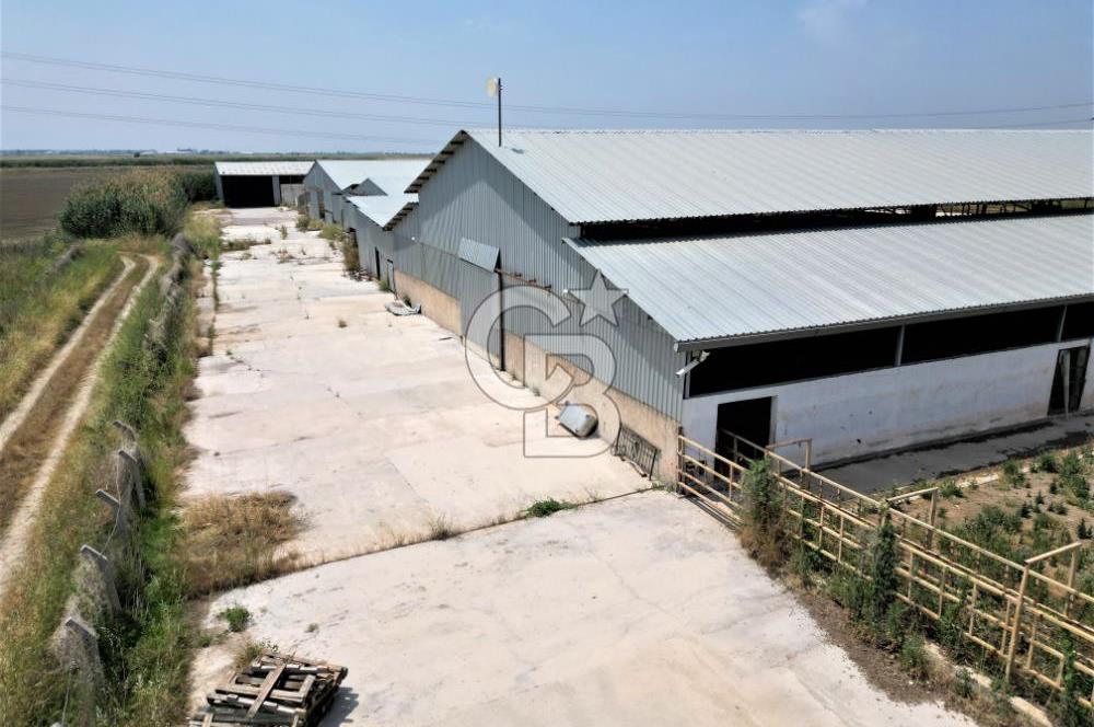MENEMEN KESİK MAH.16.000 M2 ARSA İÇERİSİNDE SATILIK ÇİFTLİK...