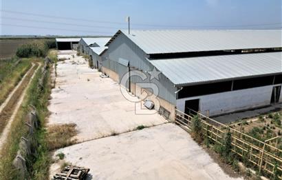 MENEMEN KESİK MAH.16.000 M2 ARSA İÇERİSİNDE SATILIK ÇİFTLİK...
