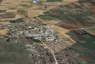 Tekirdağ Muratlı Balabanlı' da Satılık 2000 m2 Bağyeri - 5 - 365710