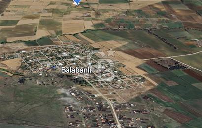 Tekirdağ Muratlı Balabanlı' da Satılık 2000 m2 Bağyeri