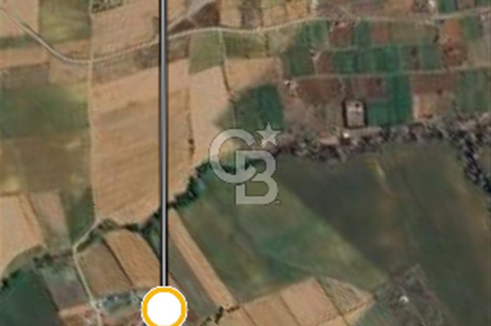 Tekirdağ Muratlı Balabanlı' da Satılık 2000 m2 Bağyeri