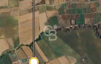Tekirdağ Muratlı Balabanlı' da Satılık 2000 m2 Bağyeri