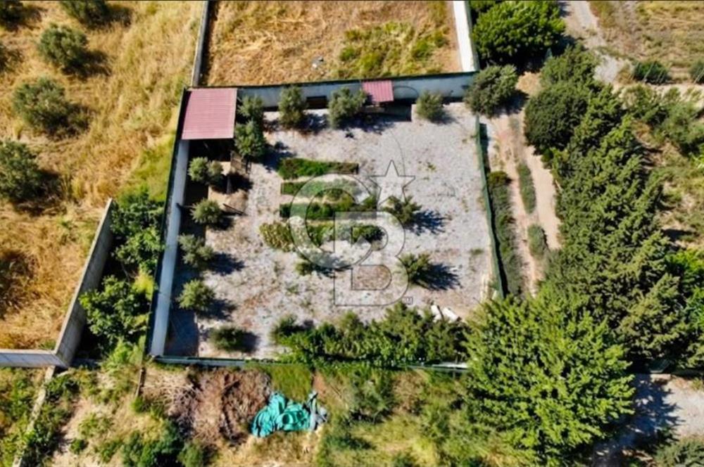 Subaşı Naime Köyü'nde 85 Meyve Ağaçlı, Güvenlikli, Sıfır Masraf Müstakil Yaşam