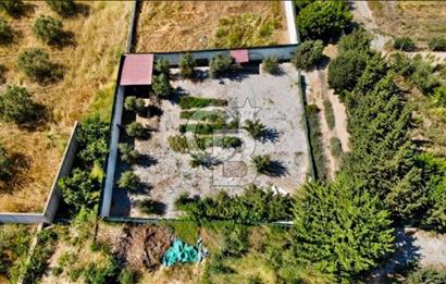 Subaşı Naime Köyü'nde 85 Meyve Ağaçlı, Güvenlikli, Sıfır Masraf Müstakil Yaşam