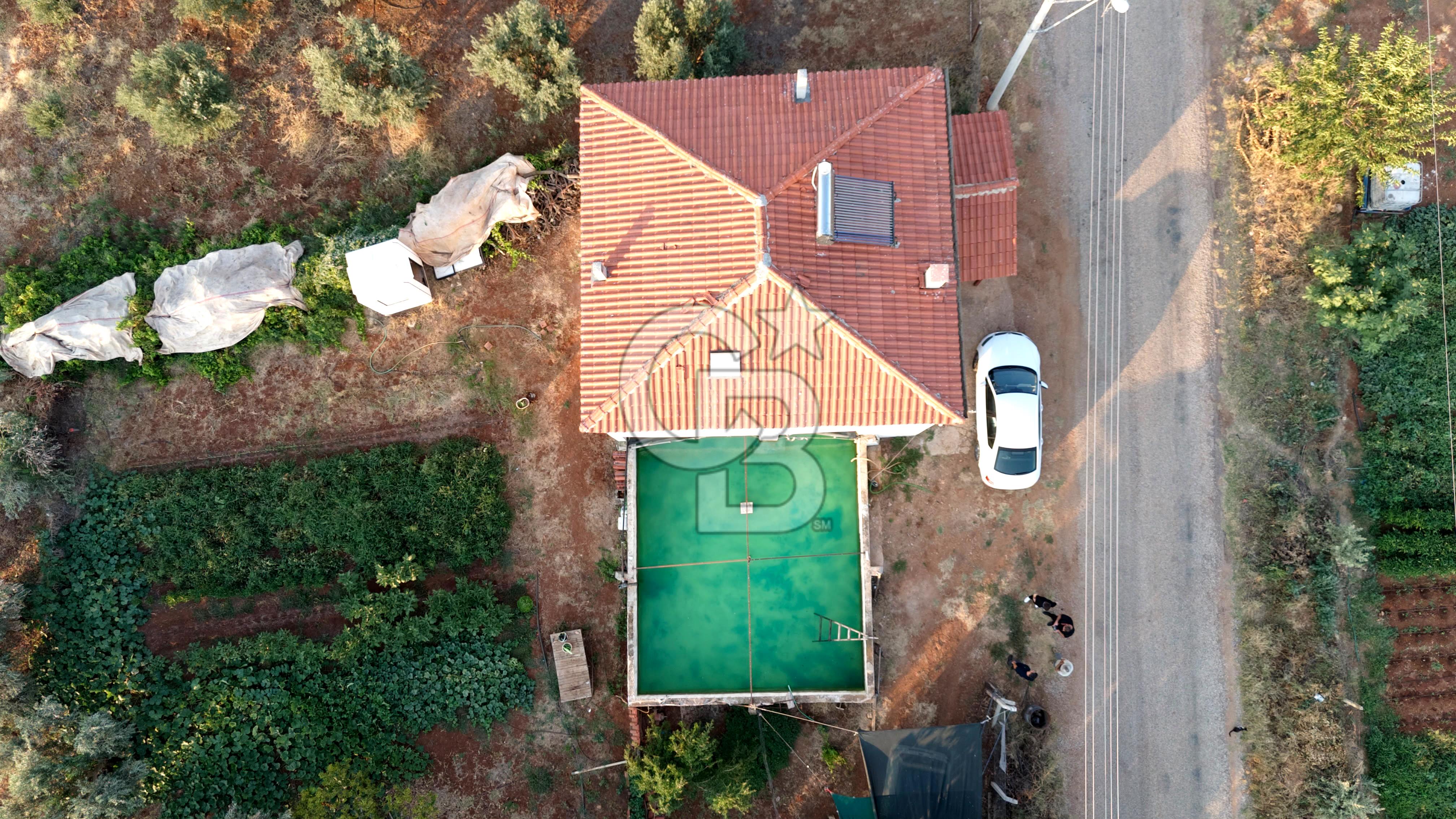 Salihli Akörende 40.457 m² Üretime Hazır Trilye Zeytinliği