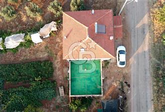Salihli Akörende 40.457 m² Üretime Hazır Trilye Zeytinliği - 6 - 365707