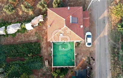 Salihli Akörende 40.457 m² Üretime Hazır Trilye Zeytinliği