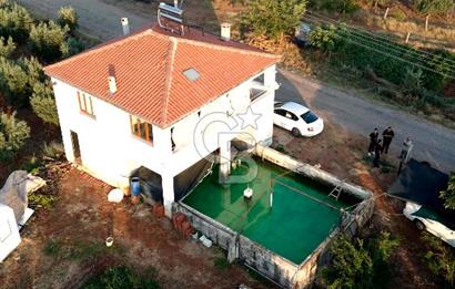 Salihli Akörende 40.457 m² Üretime Hazır Trilye Zeytinliği