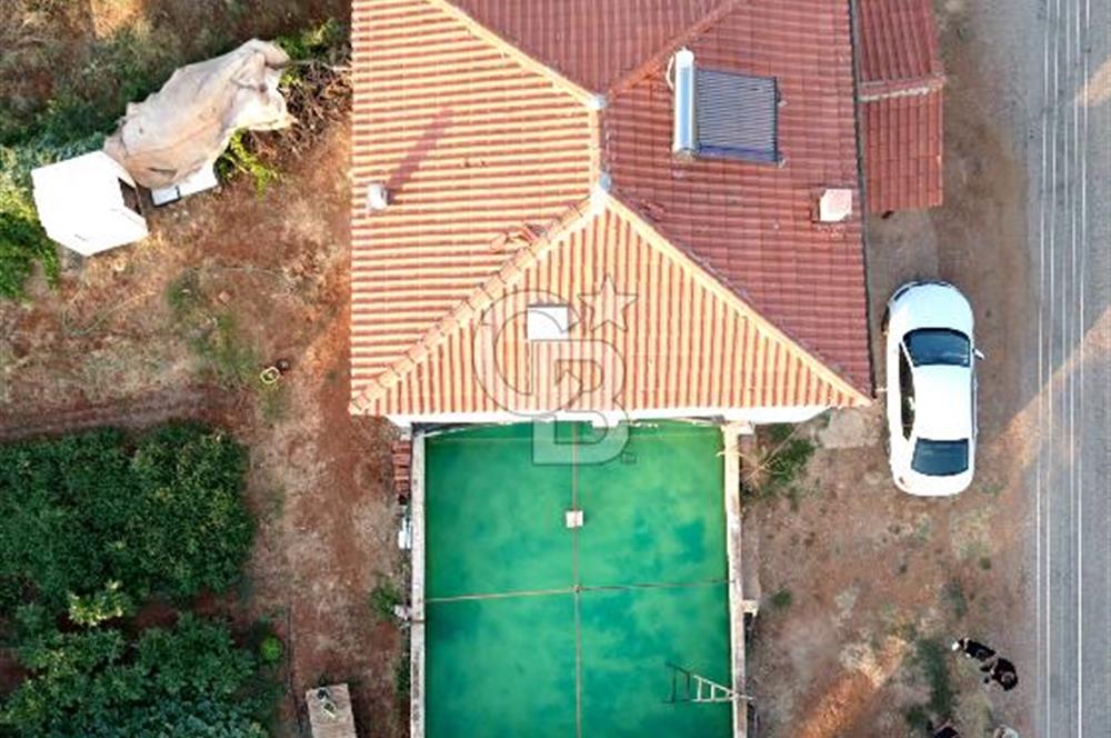 Salihli Akörende 40.457 m² Üretime Hazır Trilye Zeytinliği