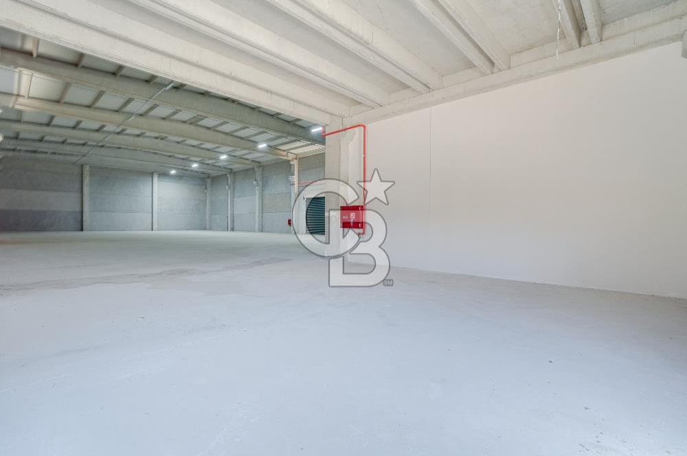 Kemalpaşa'da Üretime & Depolamaya Uygun 1740 m2 Kiralık Fabrika 
