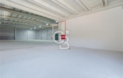 Kemalpaşa'da Üretime & Depolamaya Uygun 1740 m2 Kiralık Fabrika 