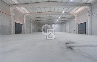 Kemalpaşa'da Üretime & Depolamaya Uygun 1740 m2 Kiralık Fabrika 