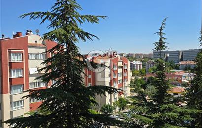 ETİMESGUT OĞUZLAR MAH. İLKE 91 SİTESİ KİRALIK 3+1 YAPILI DAİRE
