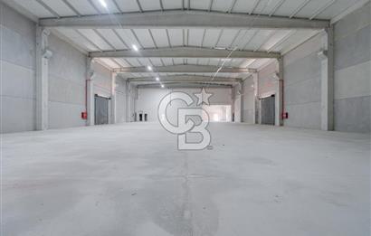Kemalpaşa'da Üretime & Depolamaya Uygun 1740 m2 Kiralık Fabrika 
