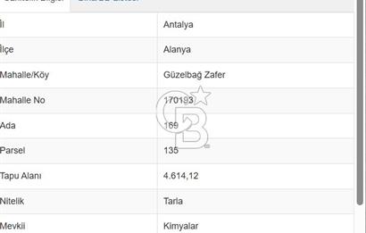 Alanya Güzelbağ Sanayi İmarlı Satılık Arsa