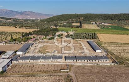 Foça Ilıpınar 2+1 Hobi Bahçeli Daire