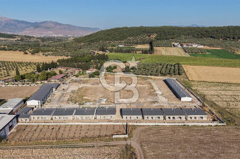 Foça Ilıpınar  2 + 1 