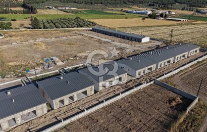 Foça Ilıpınar  2 + 1 