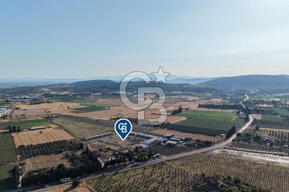 Foça Ilıpınar  2 + 1 