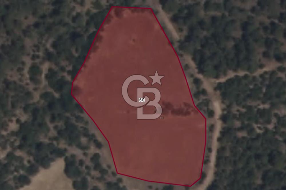 EVONA GAYRİMENKULDEN MANİSA KARAKILIÇLI'DA 7.300 M2 TARLA