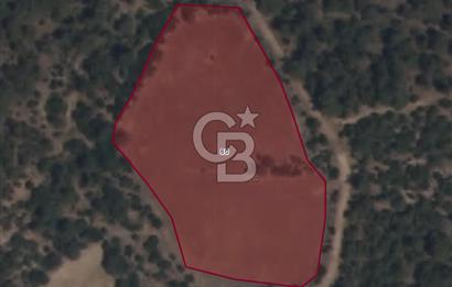 EVONA GAYRİMENKULDEN MANİSA KARAKILIÇLI'DA 7.300 M2 TARLA