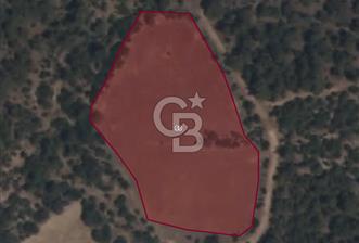 EVONA GAYRİMENKULDEN MANİSA KARAKILIÇLI'DA 7.300 M2 TARLA - 3 - 365806